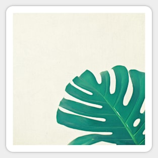 Monstera II Sticker